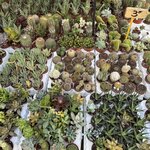 Photo taken by Anne W