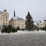 Photo taken by Anna P