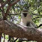 Photo taken by rhonda c