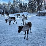 Photo taken by Caitlin P