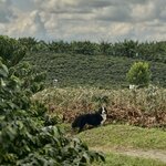 Photo taken by Sophie F