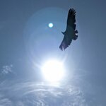 Photo taken by Helen L