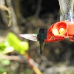 Photo taken by Mary D