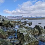 Photo taken by Alex T