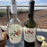 Photo taken by Graciela P