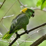 Photo taken by Graeme W