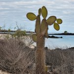 Photo taken by Natascia V