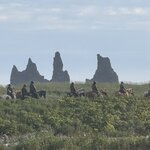 Photo taken by PETER S