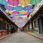 Photo taken by Ross V