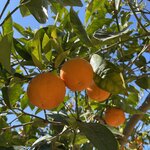 Photo taken by Andrea B