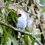 Photo taken by Brett F