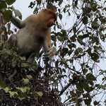 Photo taken by Edit M