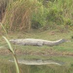 Photo taken by Arpita D