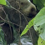 Photo taken by Morton A