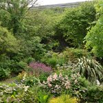 Photo taken by Carla T