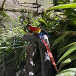 Photo taken by Jacqueline R