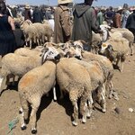 Photo taken by ANDREW L