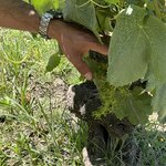 Photo taken by Rocky L