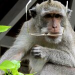 Photo taken by Nancy P