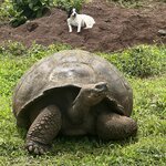 Photo taken by Thomas R