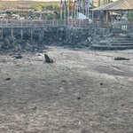 Photo taken by Jonkeeta L