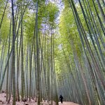 Photo taken by Laura W