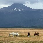 Photo taken by Nicole G