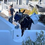 Photo taken by Allison S