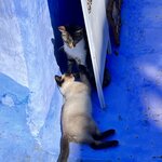 Photo taken by Sallye M