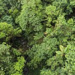 Photo taken by Jason C