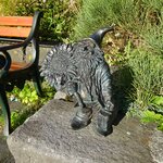 Photo taken by Gary B