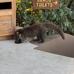 Photo taken by Patrice G