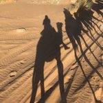 Photo taken by Karen S