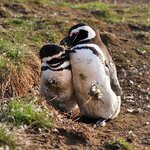 Photo taken by Stefani C