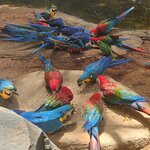 Photo taken by Hunter S