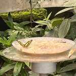 Photo taken by Kate R