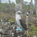 Photo taken by Ben S