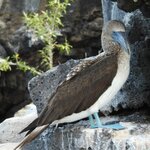 Photo taken by Patricia D