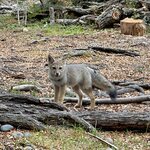 Photo taken by Hannah L