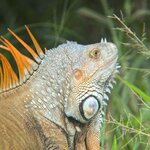 Photo taken by Trish G