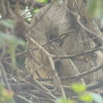 Photo taken by Sushma S