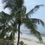 Photo taken by Kristin M