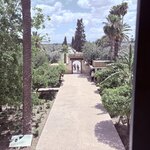 Photo taken by Patricia O