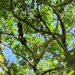 Photo taken by Esther B