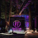 Photo taken by Scott L