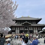 Photo taken by Norma M