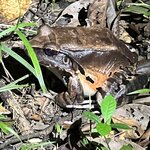 Photo taken by Deborah S