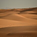 Photo taken by Indra S