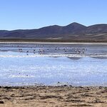 Photo taken by Shirley S