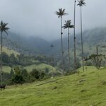 Photo taken by Carine D